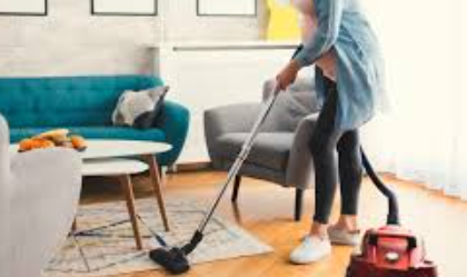Best Portable Carpet Cleaners in 2023